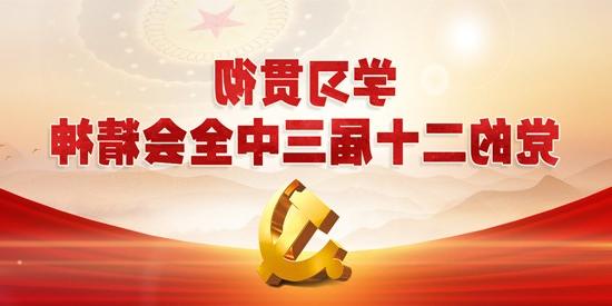 学习贯彻党的二十届三中全会精神